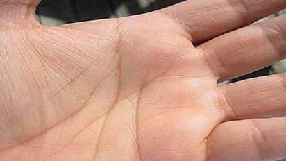 आपके पास पैसा टिकेगा या नहीं...हथेली की रेखाएं बताती हैं भाग्य