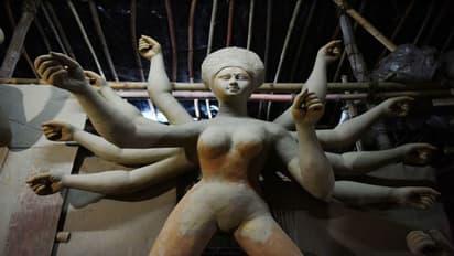 আদ্যিকালের দুর্গার সঙ্গে নতুনের মেলবন্ধন, নতুন থিমে রাজডাঙ্গা নবোদয় সংঘ