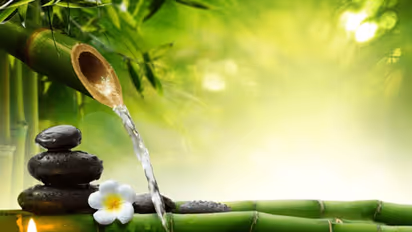 ಇಲ್ಲಿ ಕಾರಂಜಿ ಇಟ್ರೆ ನಿಮ್ಮ ದಾಂಪತ್ಯದ ಬಿಸಿ ಬೇಗ ತಣ್ಣಗಾಗುತ್ತೆ ಎಚ್ಚರ!