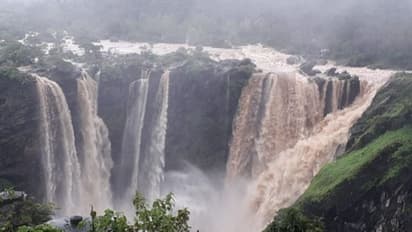 ಮೈಜುಮ್ಮೆನಿಸುವ ಜೋಗವೀಗ ಭೋರ್ಗರೆಯುತ್ತಿದೆ!