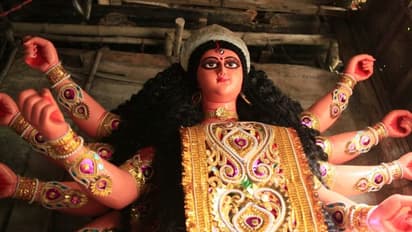 এবার পুজোয় হাতিবাগান সর্বজনীনে বধ হবে মশাসুর এবং প্লাস্টিকাসুর