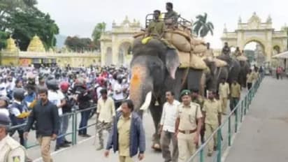 ಅರ್ಜುನನ ಮೇಲೆ ದಸರಾ ಅಂಬಾರಿ ಈ ವರ್ಷವೇ ಕಡೆ?