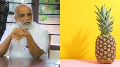 പാലാ പോര്: ജോസ് ടോമിന് ചിഹ്നം 'കൈതച്ചക്ക'