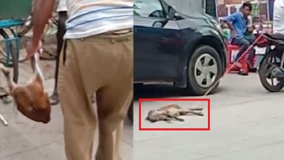 ನಾಯಿಗಿಂತ ಕೀಳಾದ ಮನುಷ್ಯ: ಗೊತ್ತಾ 1 ಕಿ.ಮೀ ಶ್ವಾನ ಎಳೆದೊಯ್ದ ವಿಷ್ಯ?