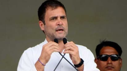 ಮತ್ತೆ ರಾಹುಲ್ ಗಾಂಧಿ ಬಂಡೀಪುರ ಲಾಬಿ!