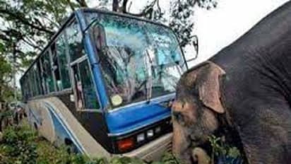 Fact Check: ಪ್ರಪಾತಕ್ಕೆ ಬೀಳುತ್ತಿದ್ದ ಬಸ್ ತಡೆದು ಪ್ರಾಣ ಉಳಿಸಿತಾ ಆನೆ?