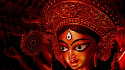 সল্টলেক এ-বি ব্লক আবাসিক সংঘের ভরসা এবার 'রাবণ'