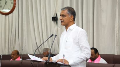 తెలంగాణ బడ్జెట్ 2020: రైతు రుణాలు ఏక కాలంలో మాఫీ