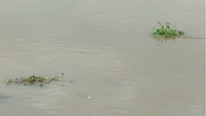 আত্মহত্যা করতে গঙ্গায় ঝাঁপ, আড়াই ঘণ্টা গঙ্গায় ভেসে অলৌকিক রক্ষা ছাত্রীর