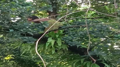 మహేష్ బాబు, జగన్ ల కోసమే...విజయవాడలో మహిళ హల్ చల్