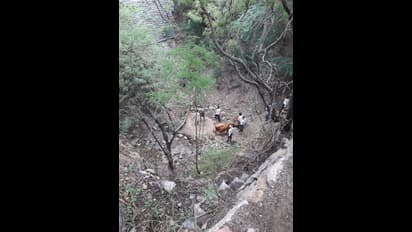 ಚಿತ್ರದುರ್ಗ:  35 ಅಡಿ ಬಾವಿಗೆ ಬಿದ್ದ ಹಸು ರಕ್ಷಿಸಿದ ಯುವಕರಿಗೊಂದು ಸಲಾಂ!