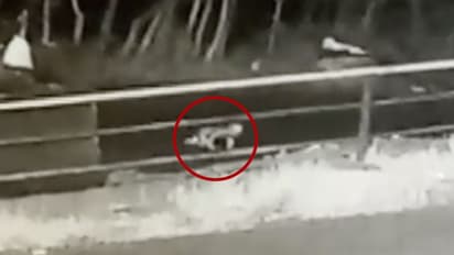 മൂന്നാറിൽ വാഹനത്തിൽ നിന്ന് കുഞ്ഞ് താഴെ വീണ സംഭവം: അച്ഛനും അമ്മക്കും എതിരെ കേസ്