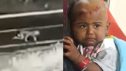 கேரளாவில் பயங்கர சம்பவம்... காட்டில் இரவில் ஜீப்பிலிருந்து தவறி விழுந்த குழந்தை.. குழந்தை இல்லாமல் 45 கி.மீ. தூரம் சென்ற தாய்!