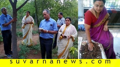 ಶ್ರೀಗಂಧ ಬೀಜ ಮಾರಿದ್ರೆ ಎಕ್ರೆಗೆ ಎರಡು ಲಕ್ಷ ಆದಾಯ!