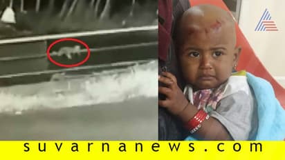 ದಟ್ಟಾರಣ್ಯದಲ್ಲಿ ಜೀಪಿಂದ ಬಿದ್ದರೂ ಅಂಬೆಗಾಲಿಟ್ಟು ಬಂದ ಮಗು!