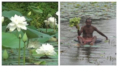 রমাপদর বারো হাজার পদ্মে পূজিত হবেন বিদেশের দুর্গারা