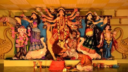 পিপীলিকার সঙ্গে একবার ঘুরেই আসবেন নাকি তাদের দেশে!হরিহর নগর ওয়েলফেয়ার সমিতিতে থাকছে নতুন চমক