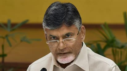 Chandrababu Naidu: Jagan govt damaging Andhra's goodwill by taking wrong decisions on PPAs