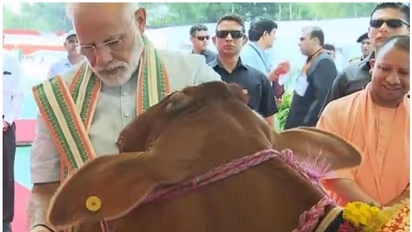 PM Narendra Modi takes a jibe at opposition parties for their ‘cow’ politics