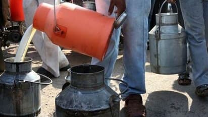 ದೀಪಾವಳಿ ಹಬ್ಬಕ್ಕೆ ರೈತರಿಗೊಂದು ಬಂಪರ್ ಸುದ್ದಿ