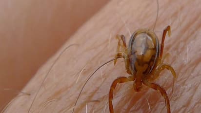 कमलनाथ सरकार ने ली पड़ोसियों की गलती से सीख, जारी किया अलर्ट