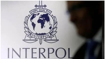 പിഎന്ബി തട്ടിപ്പ്; നീരവ് മോദിയുടെ സഹോദരന് റെഡ് കോര്ണര് നോട്ടീസ്