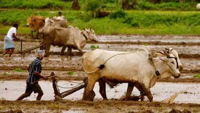 ರೈತರಿಗೆ ಗುಡ್ ನ್ಯೂಸ್ : ತಿಂಗಳಿಗೆ 3 ಸಾವಿರ ಪಿಂಚಣಿ