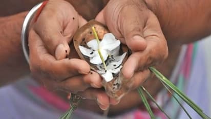 पितृ पक्ष:  बेटा न हो तो कौन कर सकता है श्राद्ध?