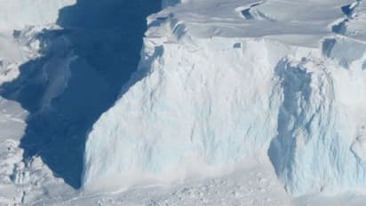 অ্যান্টার্কটিকায় বরফের ৩০০০ ফিট গভীরে মিলল প্রাণের স্পন্দন, হতবাক বিজ্ঞানীরাও