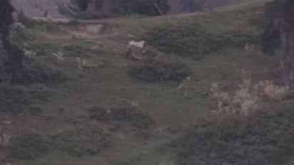 ಕೆಣಕ್ತಾರೆ, ಸಾಯ್ತಾರೆ: ಬಿಳಿ ಧ್ವಜ ತಂದು ಹೆಣ ತೊಗೊಂಡ್ತಾರೆ!