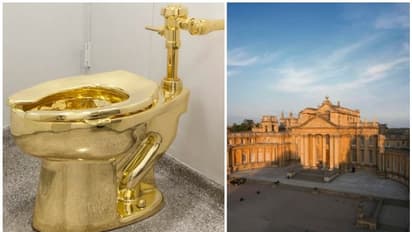 ക്ലോസറ്റായാലെന്താ സ്വര്ണമല്ലേ! വിന്സ്റ്റണ് ചര്ച്ചിലിന്റെ കൊട്ടാരത്തിലെ സ്വര്ണ ക്ലോസറ്റ് കളവ് പോയി