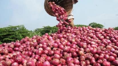 ಗದಗ: ಅತಿಯಾದ ಮಳೆಗೆ ಕೊಳೆತ ಈರುಳ್ಳಿ, ಸಂಕಷ್ಟದಲ್ಲಿ ರೈತರು