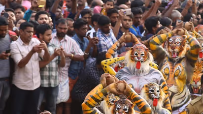 Kerala: Thrissur set for Pulikali today; Traffic restrictions to be imposed in city