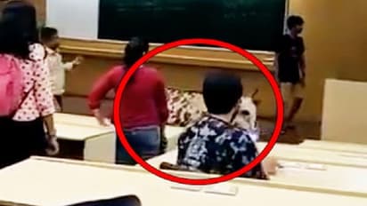Cows preparing for JEE? Video of these animals gate crashing IIT-B  goes viral