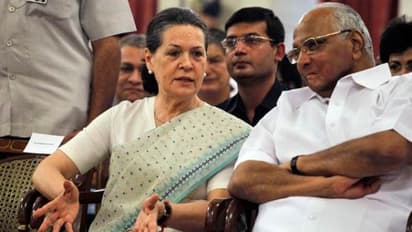 महाराष्ट्र में सोनिया-पवार ने दिखाया बड़ा दिल, अखिलेश  यादव को 370 पर दिया रिटर्न  गिफ्ट