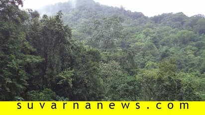 13 ಲಕ್ಷ ಹೆಕ್ಟೇರ್‌ ಅರಣ್ಯ ಭೂಮಿ ಒತ್ತುವರಿ, ಕರ್ನಾಟಕ ನಂ.7!