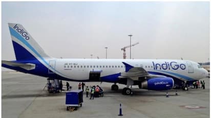 പറന്നത് ഇസ്താംബുളിലേക്ക്; യാത്രക്കാരുടെ 'പെട്ടിയും സാധനങ്ങളും' ദില്ലിയില്, അമളി പിണഞ്ഞ് ഇന്ഡിഗോ