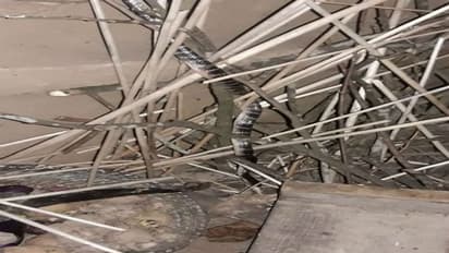 শোওয়ার ঘরে বিষধর সাপ, হাসপাতালে নিয়ে গিয়েও হল না শেষ রক্ষা