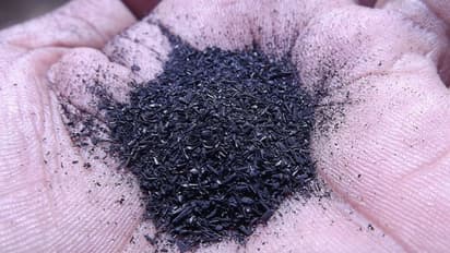 Activated Charcoal: Ready for the newest superfood on the block?