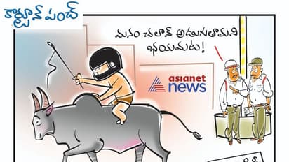 కార్టూన్ పంచ్