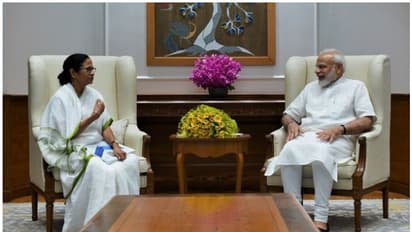 উপরাষ্ট্রপতি নির্বাচনের আবহে দিল্লি সফরে মমতা, দেখা করতে পারেন প্রধানমন্ত্রীর সঙ্গে  