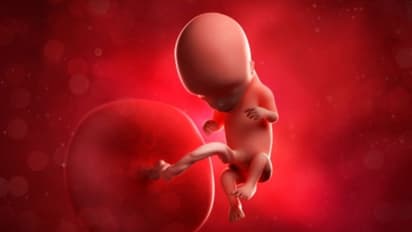 বায়ুদূষণের গ্রাসে মানবসমাজ, এবার মাতৃগর্ভে পাওয়া গেল বিষাক্ত কালো কার্বন কণা