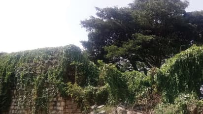 ಶ್ರೀ ರಂಗಪಟ್ಟಣ : ಅವಸಾನದ ಅಂಚಿಗೆ ಐತಿಹಾಸಿಕ ಕೋಟೆ