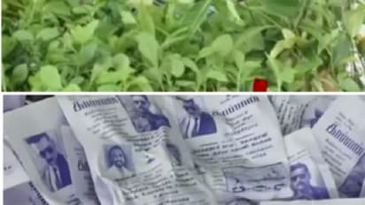 பேனருக்குப் பதில் விதைப் பந்துகள், மரக் கன்றுகள் ! காப்பான் பட வெளியீட்டில் அசத்திய சூர்யா ரசிகர்கள் !!