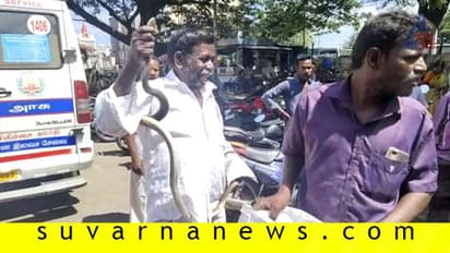 ಹಾವು ಕಚ್ಚಿದರೂ ಸೆರೆ ಹಿಡಿದು ಮಕ್ಕಳನ್ನು ಕಾಪಾಡಿದ ಅರ್ಚಕ!