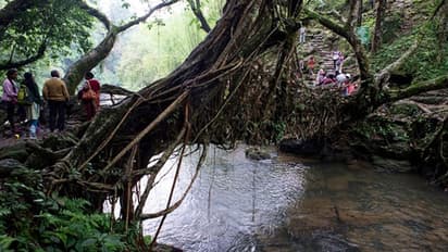 Plastic ban: What we need to learn from Asia's cleanest village Mawlynnong in Meghalaya on cleanliness