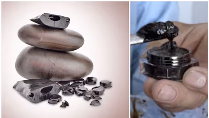 নিজেদের যৌন আনন্দ বাড়াতে মহিলারাও ব্যবহার করতে পারেন শিলাজিৎ, জেনে নিন কীভাবে খাবেন