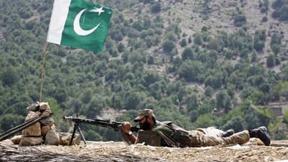 पाकिस्तान की बौखलाहट बरकरार, किया सीज फायर का उल्लंघन, मासूम मवेशियों ने गवाई जान