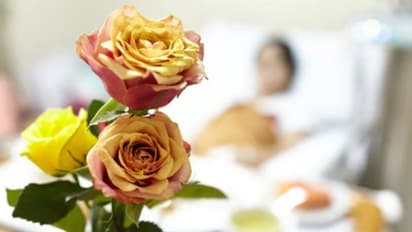 ഇന്ന് സെപ്തംബര് 22; റോസാപ്പൂക്കളുടെ ദിനം !