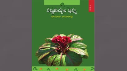 దాసరాజు రామారావు పట్టుకుచ్చుల పువ్వు